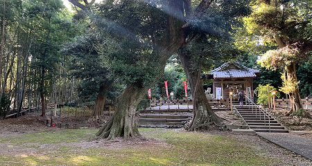 神社の写真