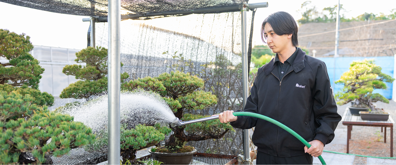 2023年入社/室内緑化事業部 A.T