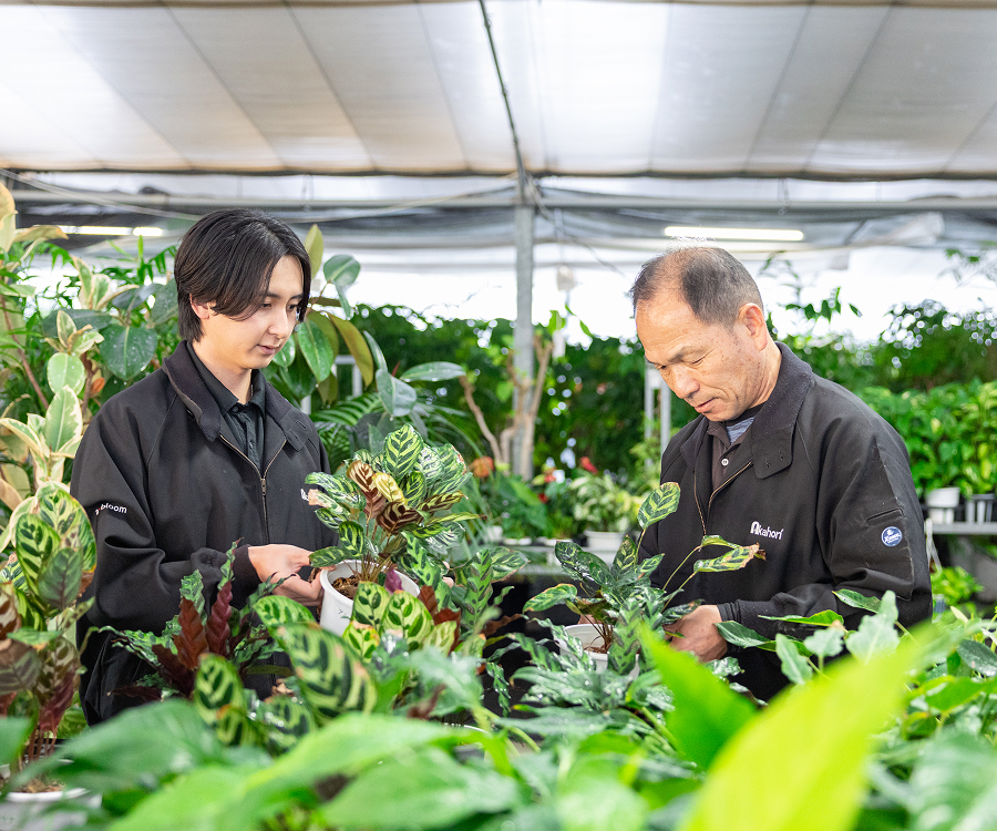植物を管理する男性2名