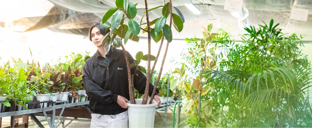 植木を運ぶ様子