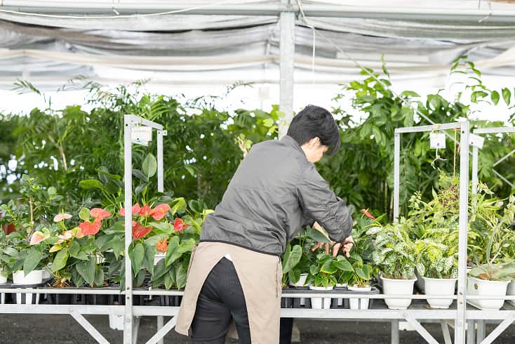 専門スタッフによる徹底した環境制御