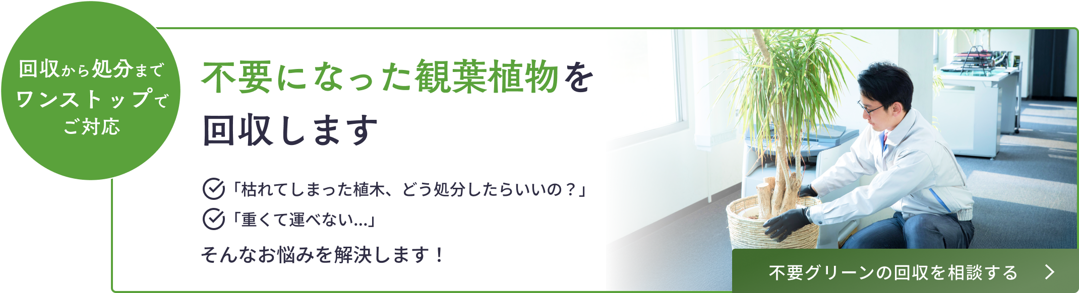 不要になった観葉植物を回収します