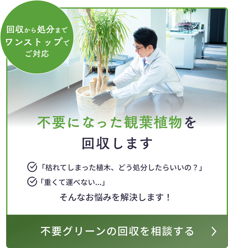 不要になった観葉植物を回収します