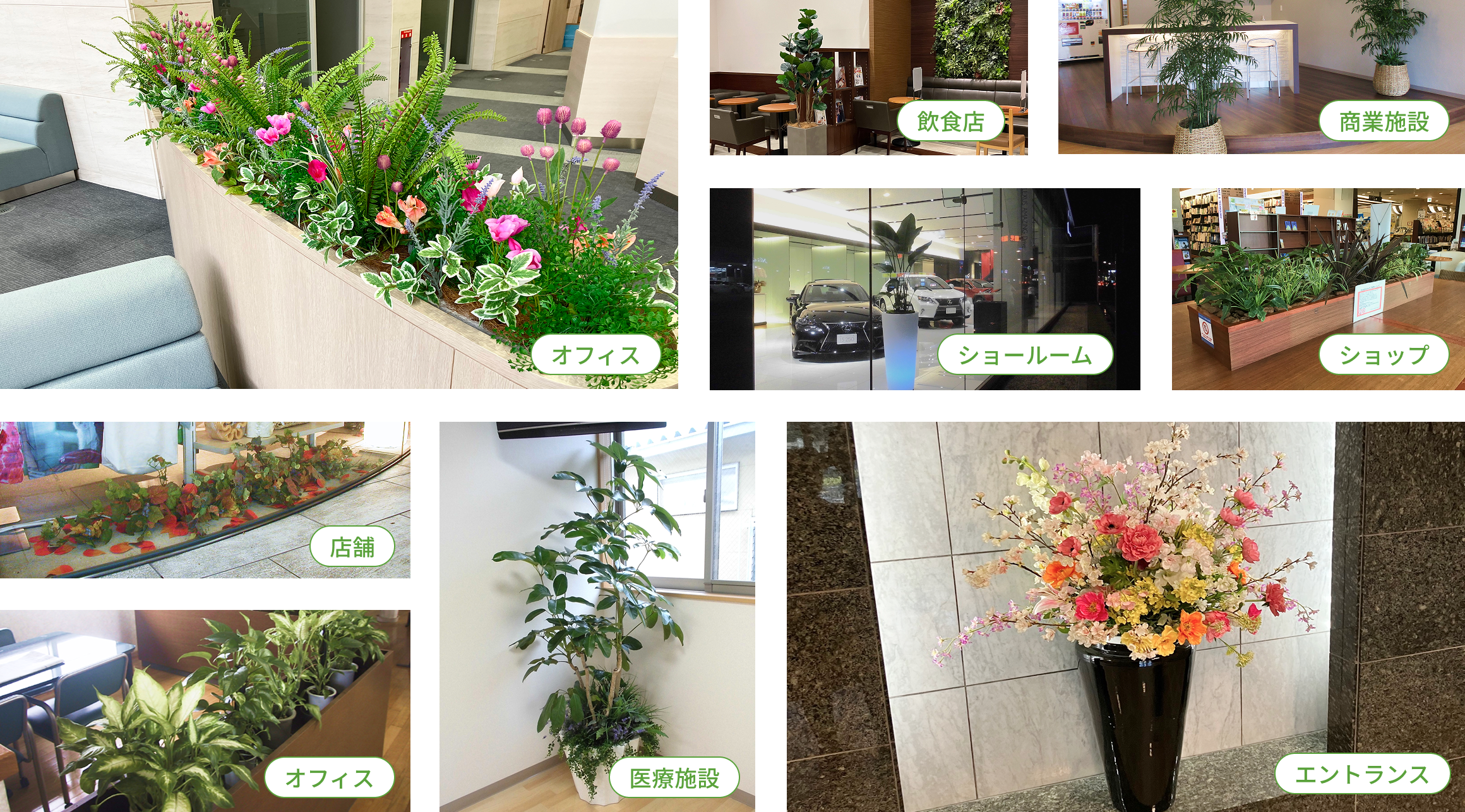 複数の事例画像