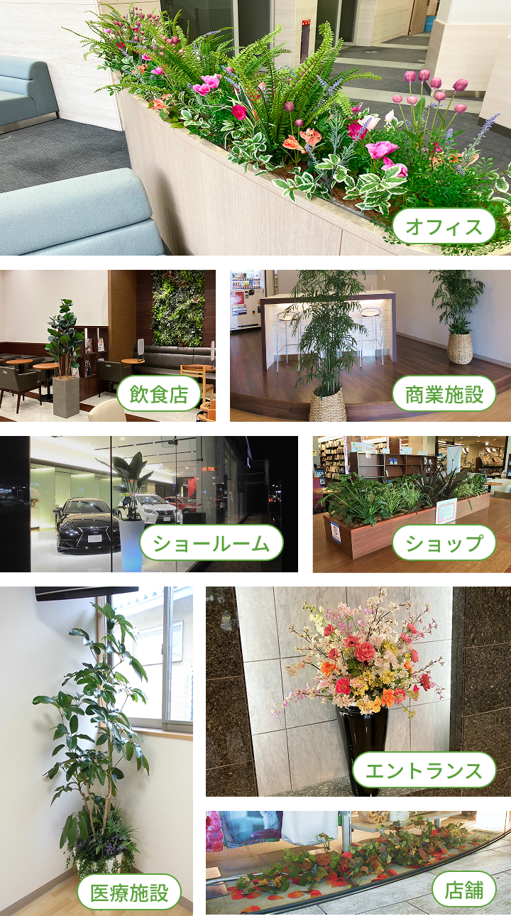 複数の事例画像