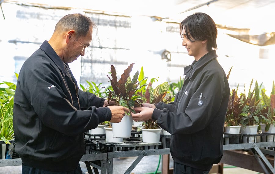 植物を管理する様子